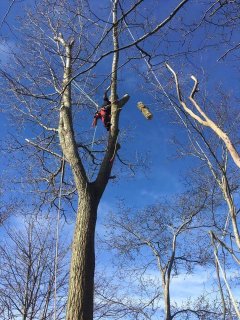 Topkapning Nordjylland